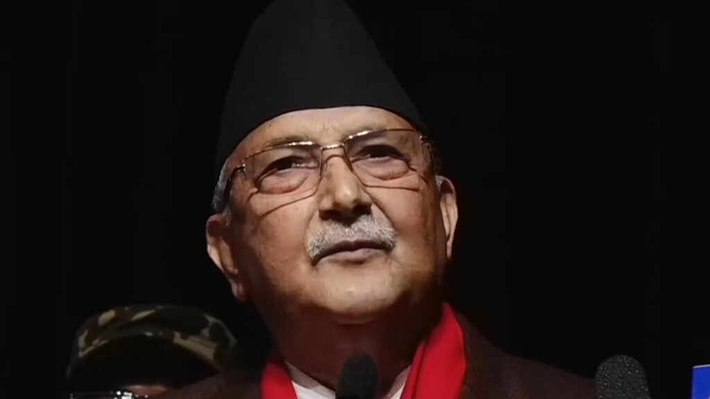 KP-oli-image